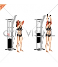 Cable Overhead Triceps Extension (rope attachment) (female)