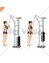 Cable Triceps Pushdown (V bar) (female)