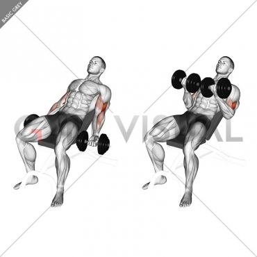 Dumbbell Incline Curl (version 2)