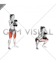 Dumbbell Goblet Squat (female)