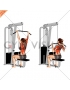 Cable Wide-Grip Lat Pulldown (female)