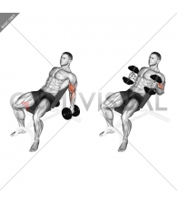 Dumbbell Incline Hammer Curl