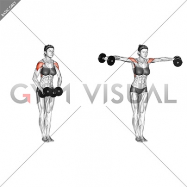 Dumbbell Standing Bent Arm Lateral raise (female)