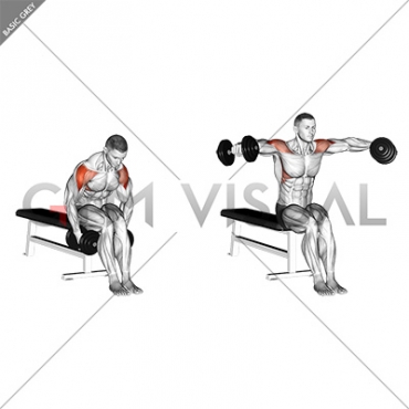 Dumbbell Seated Bent Arm Lateral raise