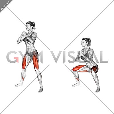 Sumo Squat Gym Visual