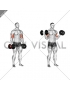 Dumbbell Standing Inner Biceps Curl (version 2)