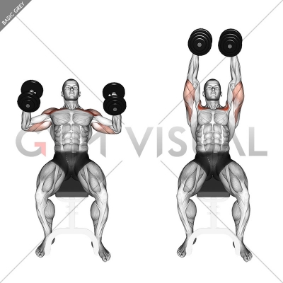 Dumbbell Incline Hammer Press - Gym visual