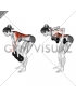 Dumbbell Pronated to Neutral Grip Row (female)
