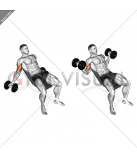 Dumbbell Incline Inner Biceps Curl