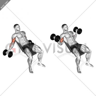 Dumbbell Incline Inner Biceps Curl