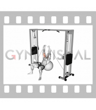 Cable Incline Fly (on stability ball)