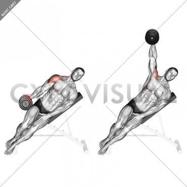 Dumbbell Incline One Arm Lateral Raise