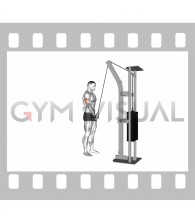 Cable Standing One Arm Triceps Extension