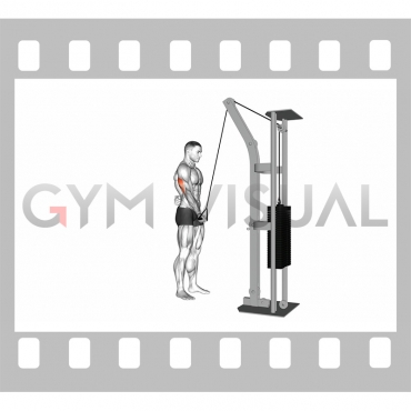 Cable Standing One Arm Triceps Extension