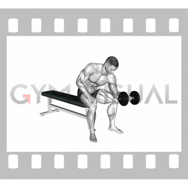 Dumbbell One arm Revers Wrist Curl
