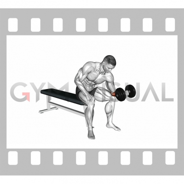 Dumbbell One arm Wrist Curl