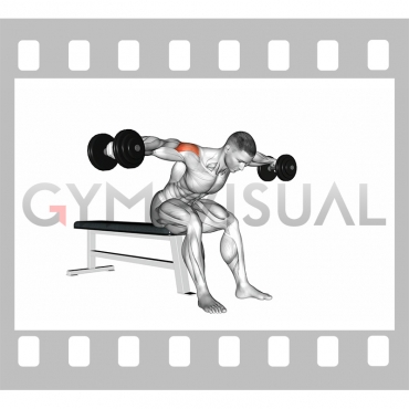 Dumbbell Rear Fly