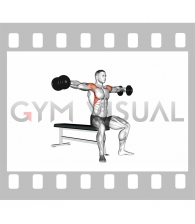 Dumbbell Seated Lateral Raise