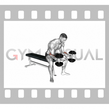 Dumbbell Seated Neutral Wrist Curl