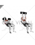 Dumbbell Incline Palm-in Press