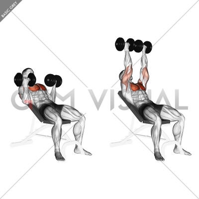 Dumbbell Incline Palm-in Press - Gym visual