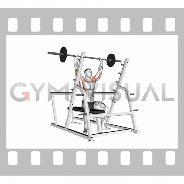 Barbell Seated Military Press (inside squat cage)