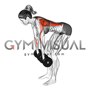 Dumbbell Pronated to Neutral Grip Row (female)