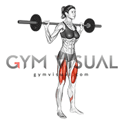 Barbell Narrow Stance Squat (female)