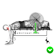 Chest Bench Press - Forearms (WRONG-RIGHT)