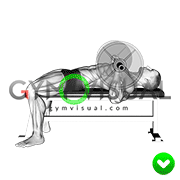 Chest Bench Press - Butt (WRONG-RIGHT)