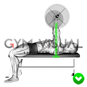 Chest Bench Press - Arms (WRONG-RIGHT)