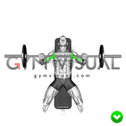Chest Bench Press - Elbows (WRONG-RIGHT)