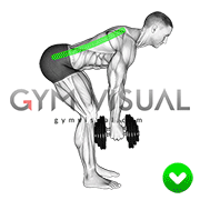 Bent over Row - Back (WRONG-RIGHT)