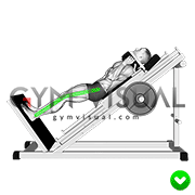 Sled Hack Squat - Legs (WRONG-RIGHT)