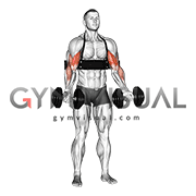 Dumbbell Biceps Curl (with arm blaster)