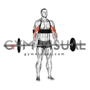 Barbell Biceps Curl (with arm blaster)