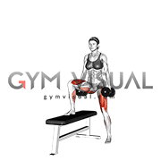 Dumbbell Lateral Step Up (female)