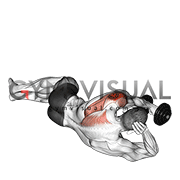 Dumbbell Lying on Floor Rear Delt Raise