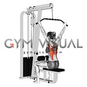 Cable Wide Grip Rear Pulldown Behind Neck (female)