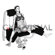 Lever Seated Hip Adduction (VERSION 2) (female)