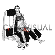 Lever Seated Hip Abduction (VERSION 2) (female)