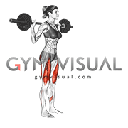 Barbell Lunge (female)