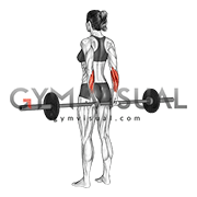 Barbell Standing Back Wrist Curl (female)
