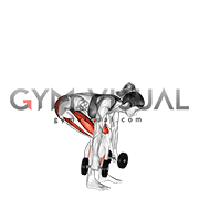 Dumbbell Deadlift (female)