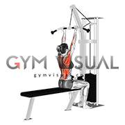 Cable Reverse Grip Pulldown (female)