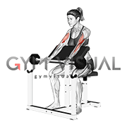 Barbell Preacher Curl (female)