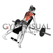 Barbell Incline Row (female)
