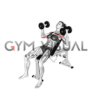 Dumbbell Incline Hammer Press (female)