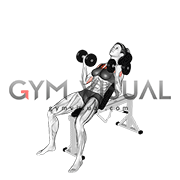 Dumbbell Incline Palm in Press (female)