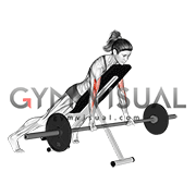 Barbell Prone Incline Curl (female)